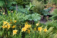 View past Hemerocallis 'Marys Gold' onto decked area with wooden chairs in a garden which is situated in a steep-sided valley or combe with its own sheltered microclimate which permits tender exotic plants to flourish