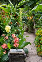 Sundial by a path in a subtropical garden with Canna 'Lucy Steele' and Dahlia 'Kelvin Floodlight' behind