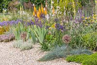 A gravel border full of colourful, drought resistant plants including Allium cristophii, Agapanthus 'Back in Black' and Festuca glauca. Beth Chatto: The Drought Resistant Garden, Hampton Court Flower Festival, 2019.