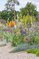 A gravel border full of colourful, drought resistant plants including Allium cristophii, Agapanthus 'Back in Black' and Festuca glauca. Beth Chatto: The Drought Resistant Garden, Hampton Court Flower Festival, 2019.
