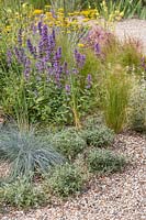 Stipa tenuissima, Festuca glauca and Nepeta in gravel garden with other drought resistant plants. Beth Chatto: The Drought Resistant Garden, Hampton Court Flower Festival, 2019.
