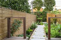 View of small, modern garden in London with Dicksonia antarctica and wooden shed, by Earth Designs.
