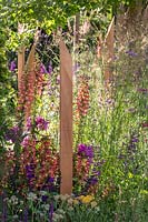 A series of Wooden posts with inscriptions amongst colourful summer planting including Digitalis ferruginea 'firebird'. The Cancer Research UK Pledge Pathway to Progress - Hampton Court Flower Festival, 2019.