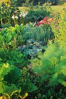 Veg: Beta vulgaris - Beetroot, Brassica - Cabbage and Daucus carotta - Carrot - in small blocks with flowers beyond: Godetia, Helianthus annuus - Sunflower and Lilium - Lily 
