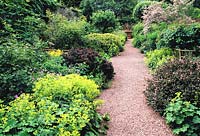 Garden with mixed borders of shrubs and perennials, including Alchemilla mollis and Kolkwitzia amabilis.