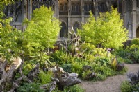 The Stumpery at Arundel Castle in May where sculptural tree stumps are surrounded by lush planting including ferns, alliums, hostas, euphorbias and liquidambars.