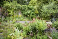 Small cottage garden surrounded by woodland structured with railway sleepers and planted with bold foliage plants such as bamboos, olives and ferns, amongst lots of self seeding including wild strawberries, Fragaria vesca, pulmonarias, Erigeron karvinskianus, foxgloves and Sisyrinchium striatum 