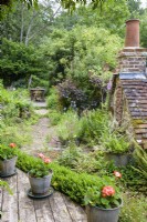 Path through a lush cottage garden leading to a simple decked dining area with planting including  ferns and lots of self seeders including foxgloves and Erigeron karvinskianus in a cottage garden in June. Galvanised buckets in the foreground are planted with orange pelargoniums.