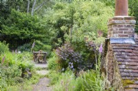 Path through a lush cottage garden leading to a simple decked dining area with planting including Cotinus coggygria 'Royal Purple', ferns and lots of self seeders including foxgloves in a cottage garden in June