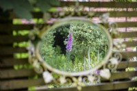 Decorative mirror used in a cottage garden in June.