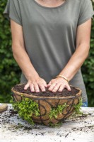 Woman pressing the compost firmly into the basket