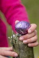 Child collecting a purple chocolate egg