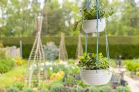 Plant hanger hanging in front of a garden