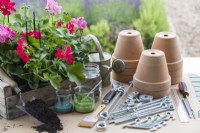 Steel rods, tensioners, hooks, connectors, nuts, washers, screwdriver, screws, spanner, watering can, pencil, terracotta pots, paint, brushes, plants and compost laid out on a table