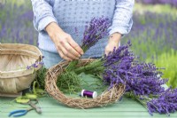 Overlapping lavender bunches and wrapping wire around them to attach them to the wreath