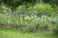 Herb garden with woven willow edge