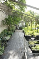 Nursery and greenhouse.
