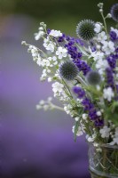 Omphalodes linifolia Little Snow White'', Echinops ritro, Lavender augustifolia 'Hidcote' arranged in a glass vase