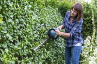 Woman cutting back a hedge with an electric hedge trimmer