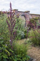 Full beds with plants including Atriplex hortensis var rub - Red orache  - near gravel paths leading to door in walled garden