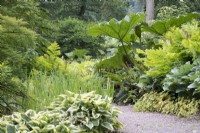 The Jubilee Woodland Garden - Aberglasney House  and  Gardens Carmarthenshire Wales - June