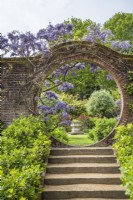 Steps leading to moongate in wall with flowering Wisteria Sinensis