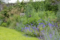 The Upper Walled Garden, flower border against wall with grass in front - Designer: Penelope Hobhouse - June