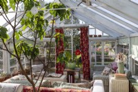Conservatory interior with comfortable sofas and potted Fig Tree and Hippeastrum
