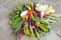 Selection of edible flowers, salad leaves and vegetables, picked from the Kitchen Garden, Hampton Court Palace