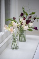 Simple glass vases with Lathyrus 'Champagne Bubbles' - Sweet Pea