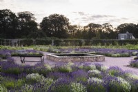 Beds of lavender, Lavandula angustifolia 'Alba' and L. 'Hidcote', around a square dipping pond at Gordon Castle Walled Garden, Scotland in July. Design by Arne Maynard
