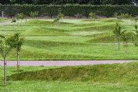 Undulating crescent shaped earth mounds at Gordon Castle Walled Garden, Scotland in July. Design by Arne Maynard.
