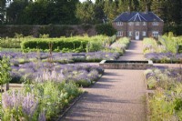 Double borders leading towards the gardener's cottage at Gordon Castle Walled Garden in July with planting including Salvia sclarea var. turkestanica. Design by Arne Maynard.
