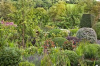 Informal garden with clipped topiary: Taxus - Yew, Buxus - Box, Hebe and Pittosporum. Lavandula angustifolia, Calendula officinalis and Verbena bonariensis in foreground.