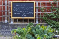 A welcome sign greets visitors entering a community garden.  Curly kale and foliage of beetroot in the foreground. Visitors are invited to pick the produce of the garden, while leaving some for others.
