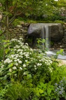 A waterfall flowing over a rock into a pool surrounded by trees and naturalistic planting including Viburnum opulus roseum, crataegus monoggyna, grasses and ferns in the Psalm 23 Garden.
