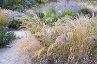 View of the Mediterranean area, in Autumn, in the contemporary Paradise Garden. Planting includes Stipa calamagrostis, Perovskia atriplicifolia, Calamintha nepeta 'Blue Cloud', Aster and Allium



































