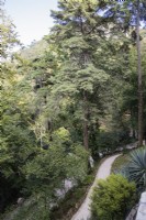 Paths in the woodland garden. Sintra, near Lisbon, Portugal, September.
