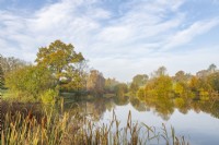 View of a lake in a country garden in autumn - November