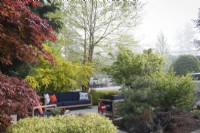 Layers of deciduous and evergreen trees, shrubs and perennials filter street view of private sitting area in front garden