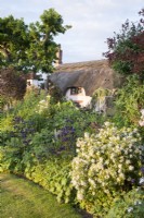 View of a flowerbed with mixed planting and thatched house beyond, in June