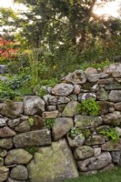 Natural stone wall with plants and mixed bed behind.  The Psalm 23 Garden at Chelsea Flower Show 2021. 