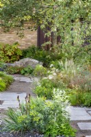 The M and G Garden. Paved area with a mix of gravel and paving for improved drainage, leading to shady woodland planting. Including Euphorbia wallichii, Artemisia lactiflora, Sporobolus heterolepis, Calamgrostis brachytricha, Rosa glauca, with foliage of Hakonechloa macra, bergenia and Hydrangea quercifolia.