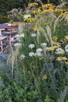 The Parsley Box Garden. Detail of courtyard garden featuring planting of grass Anemanthele lessoniana with Rudbeckia fulgida var. deamii, Achillea 'Terracotta', and garlic chives, Allium tuberosum.