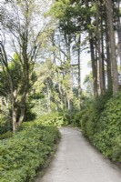 Grit path in the park. Parque da Pena, Sintra, near Lisbon, Portugal, September.