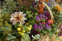 Autumn flowers, fruit  and  foliage picked including crab apples, dahlias, ivy flowers, Michaelmas daisies, Chinese lanterns, hypericum and pittosporum picked from the garden and arranged in a basket