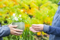 Woman recieving a small pot of Pansies from another person