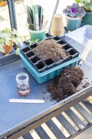 Lathyrus 'High Scent' seeds, compost, compost scoop, root trainers and a plant label laid out in a tray