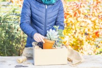 Woman placing succulents in a box with hessian fabric