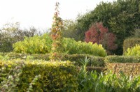 Several hedges, trees and shrubs in Autumn colours.